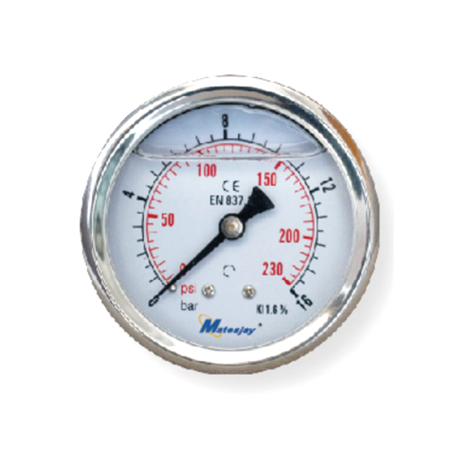 All-stainless Steel Gauge