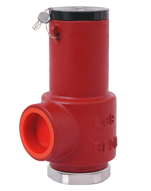 Series 120 Safety Valves