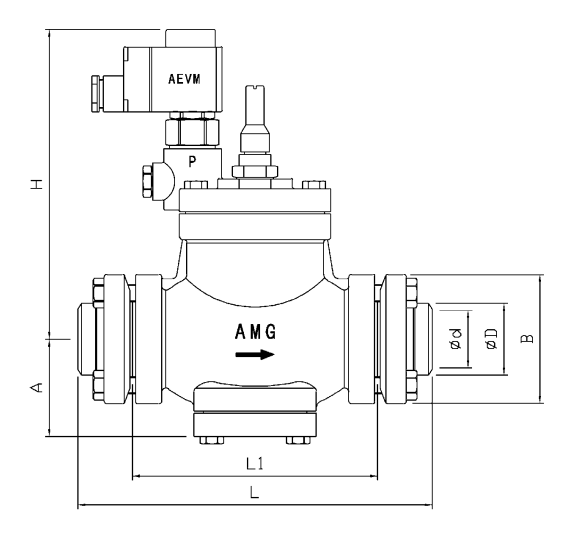 AML-1